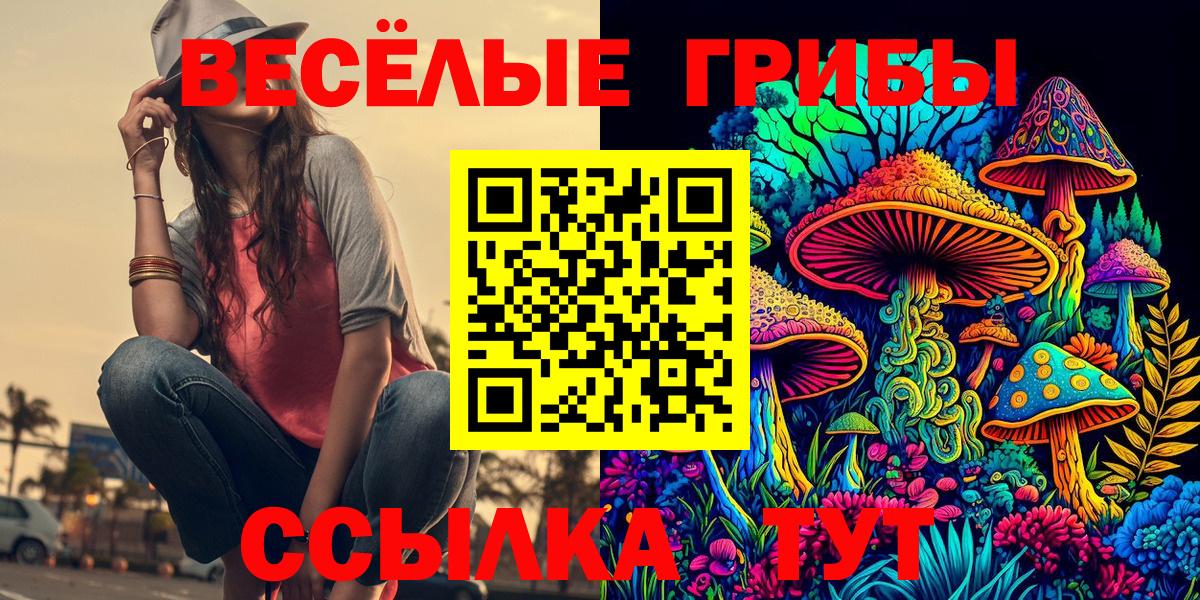 Арзамас  Псилоцибиновые грибы мицелий  Вход с VPN 